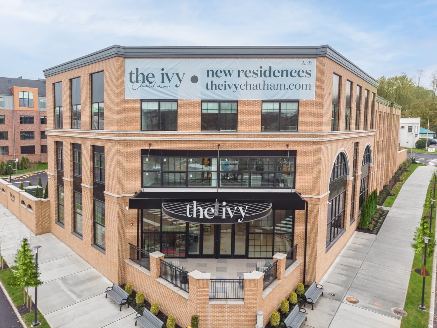 The Ivy